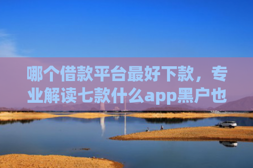 哪个借款平台最好下款，专业解读七款什么app黑户也能下款贴吧