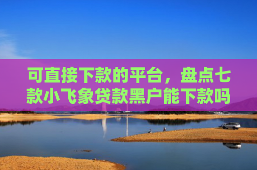 可直接下款的平台，盘点七款小飞象贷款黑户能下款吗