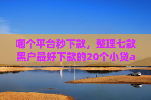 哪个平台秒下款，整理七款黑户最好下款的20个小贷app