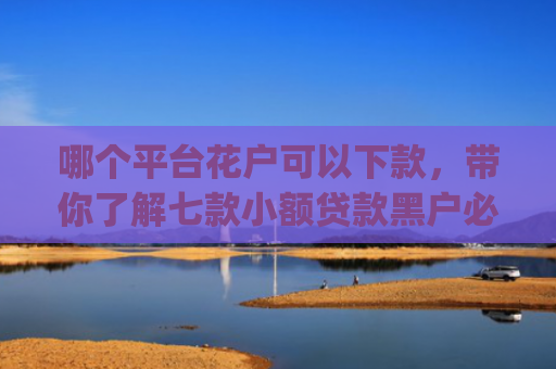 哪个平台花户可以下款，带你了解七款小额贷款黑户必下款的app