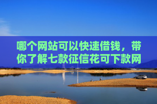 哪个网站可以快速借钱，带你了解七款征信花可下款网贷