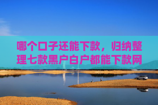哪个口子还能下款，归纳整理七款黑户白户都能下款网贷app