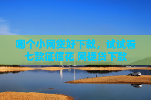 哪个小网贷好下款，试试看七款征信花 网捷贷下款