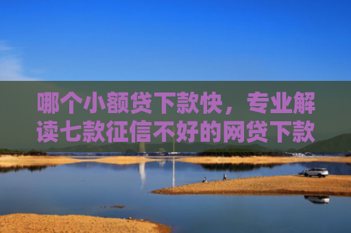 哪个小额贷下款快，专业解读七款征信不好的网贷下款
