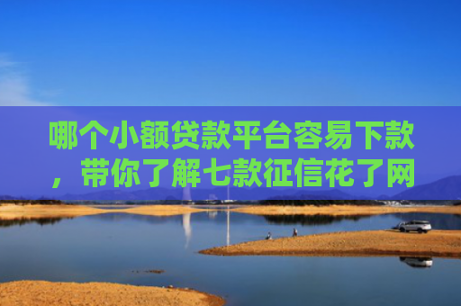 哪个小额贷款平台容易下款，带你了解七款征信花了网贷不给下款