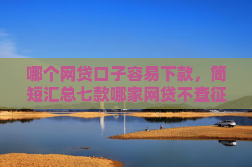 哪个网贷口子容易下款，简短汇总七款哪家网贷不查征信好下款