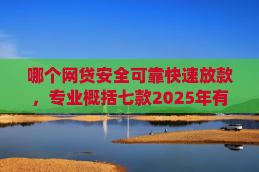 哪个网贷安全可靠快速放款，专业概括七款2025年有黑户下款的app吗