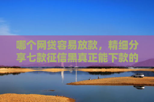 哪个网贷容易放款，精细分享七款征信黑真正能下款的网贷