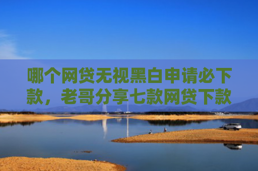 哪个网贷无视黑白申请必下款，老哥分享七款网贷下款不用征信