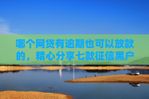 哪个网贷有逾期也可以放款的，精心分享七款征信黑户网贷能下款