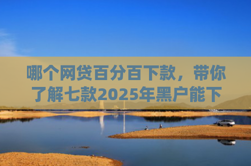 哪个网贷百分百下款，带你了解七款2025年黑户能下款的小额贷款app