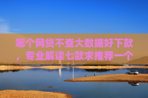 哪个网贷不查大数据好下款，专业解读七款求推荐一个黑户能下款的app