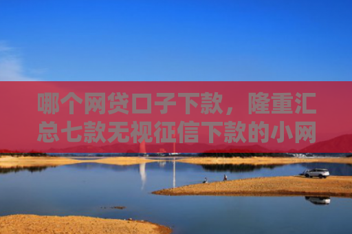 哪个网贷口子下款，隆重汇总七款无视征信下款的小网贷