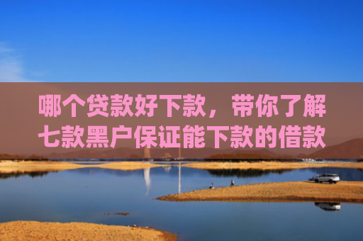 哪个贷款好下款，带你了解七款黑户保证能下款的借款app