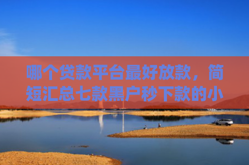 哪个贷款平台最好放款，简短汇总七款黑户秒下款的小贷app