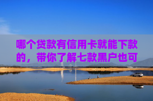 哪个贷款有信用卡就能下款的，带你了解七款黑户也可以下款的app