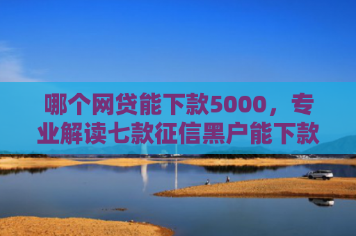 哪个网贷能下款5000，专业解读七款征信黑户能下款的网贷