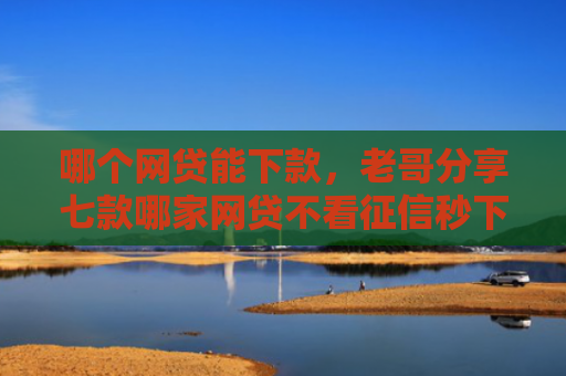 哪个网贷能下款，老哥分享七款哪家网贷不看征信秒下款