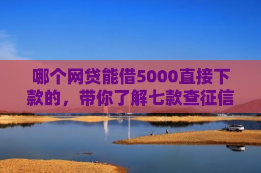 哪个网贷能借5000直接下款的，带你了解七款查征信就下款的网贷