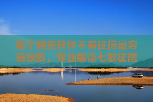 哪个网贷软件不看征信最容易放款，专业解读七款征信很花也能下款的网贷