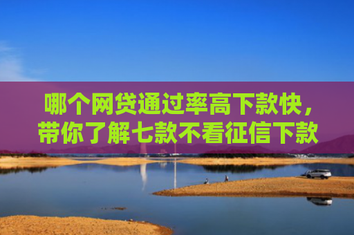 哪个网贷通过率高下款快，带你了解七款不看征信下款网贷