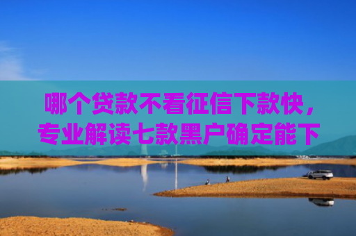 哪个贷款不看征信下款快，专业解读七款黑户确定能下款的app