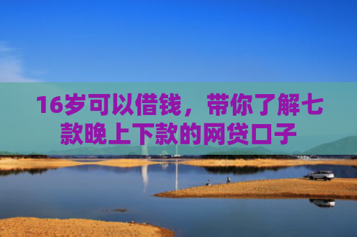 16岁可以借钱，带你了解七款晚上下款的网贷口子
