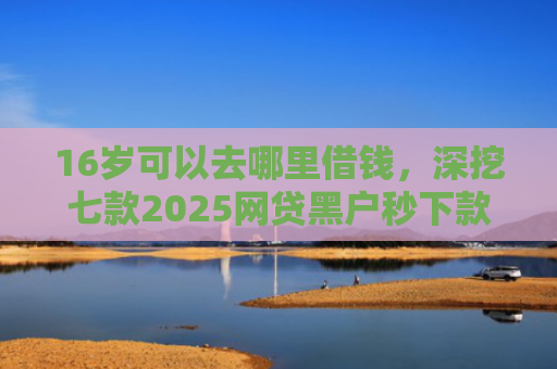 16岁可以去哪里借钱，深挖七款2025网贷黑户秒下款的口子