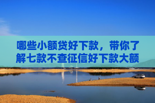 哪些小额贷好下款，带你了解七款不查征信好下款大额网贷