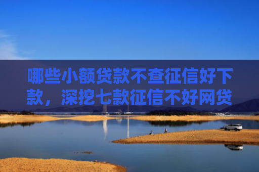 哪些小额贷款不查征信好下款，深挖七款征信不好网贷哪个能下款
