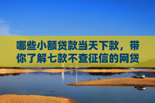 哪些小额贷款当天下款，带你了解七款不查征信的网贷易下款