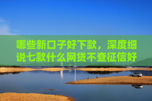 哪些新口子好下款，深度细说七款什么网贷不查征信好下款