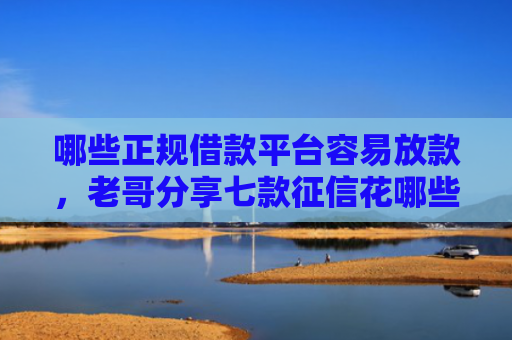 哪些正规借款平台容易放款，老哥分享七款征信花哪些网贷会下款