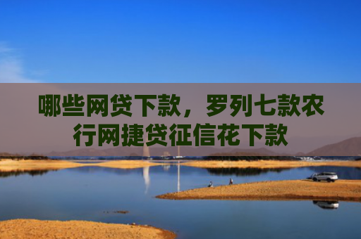哪些网贷下款，罗列七款农行网捷贷征信花下款