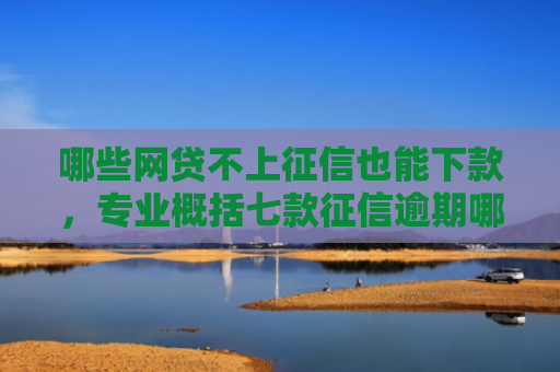 哪些网贷不上征信也能下款，专业概括七款征信逾期哪个网贷能下款