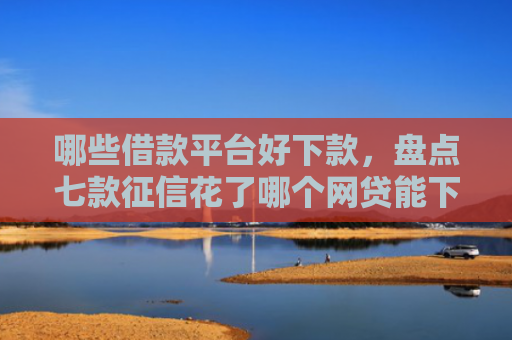 哪些借款平台好下款，盘点七款征信花了哪个网贷能下款