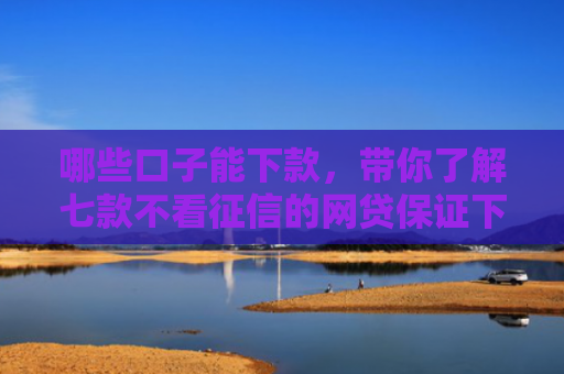 哪些口子能下款，带你了解七款不看征信的网贷保证下款