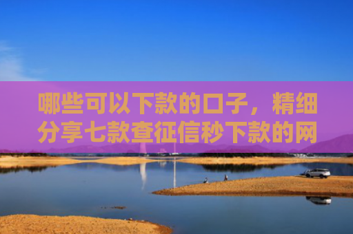 哪些可以下款的口子，精细分享七款查征信秒下款的网贷