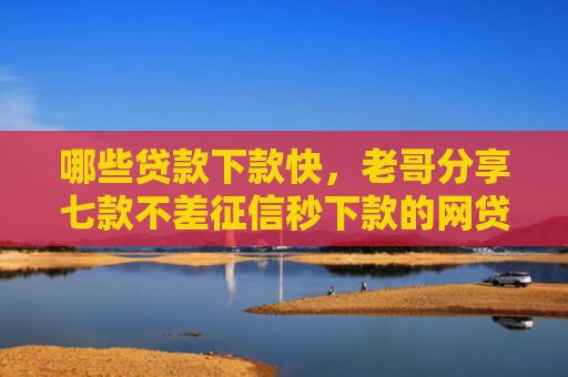 哪些贷款下款快，老哥分享七款不差征信秒下款的网贷