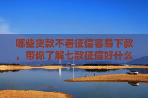 哪些贷款不看征信容易下款，带你了解七款征信好什么网贷下款快