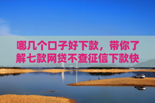哪几个口子好下款，带你了解七款网贷不查征信下款快