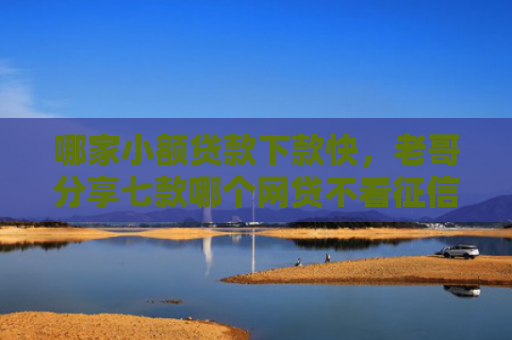 哪家小额贷款下款快，老哥分享七款哪个网贷不看征信下款