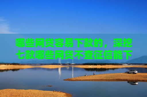 哪些网贷容易下款的，深挖七款哪些网贷不查征信能下款