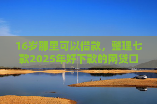16岁那里可以借款，整理七款2025年好下款的网贷口子