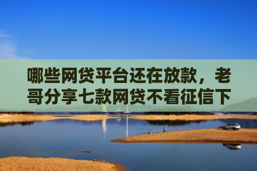 哪些网贷平台还在放款，老哥分享七款网贷不看征信下款快6