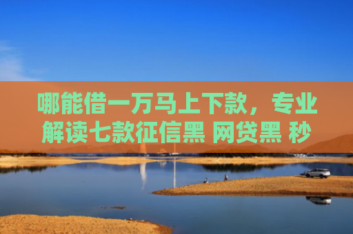 哪能借一万马上下款，专业解读七款征信黑 网贷黑 秒下款