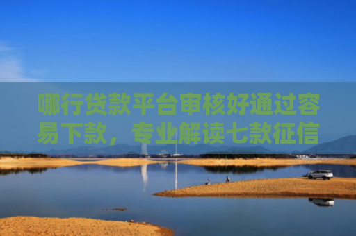 哪行贷款平台审核好通过容易下款，专业解读七款征信太花网贷不下款