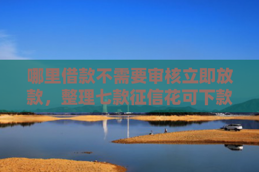 哪里借款不需要审核立即放款，整理七款征信花可下款的网贷