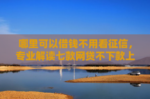 哪里可以借钱不用看征信，专业解读七款网贷不下款上征信吗