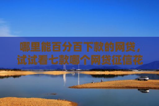 哪里能百分百下款的网贷，试试看七款哪个网贷征信花了好下款